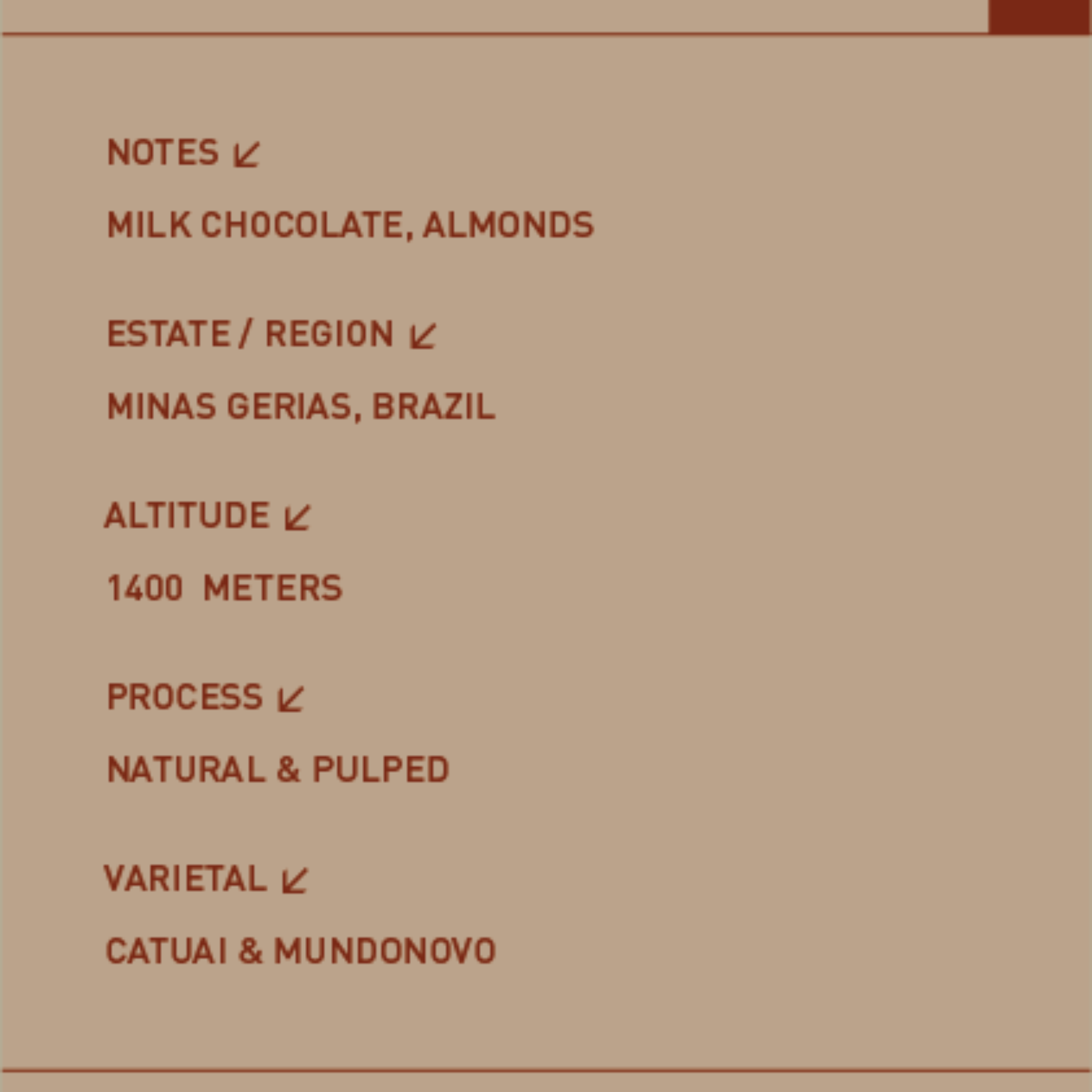 פולי קפה ברזיל | קפה 51 - 1 ק׳׳ג