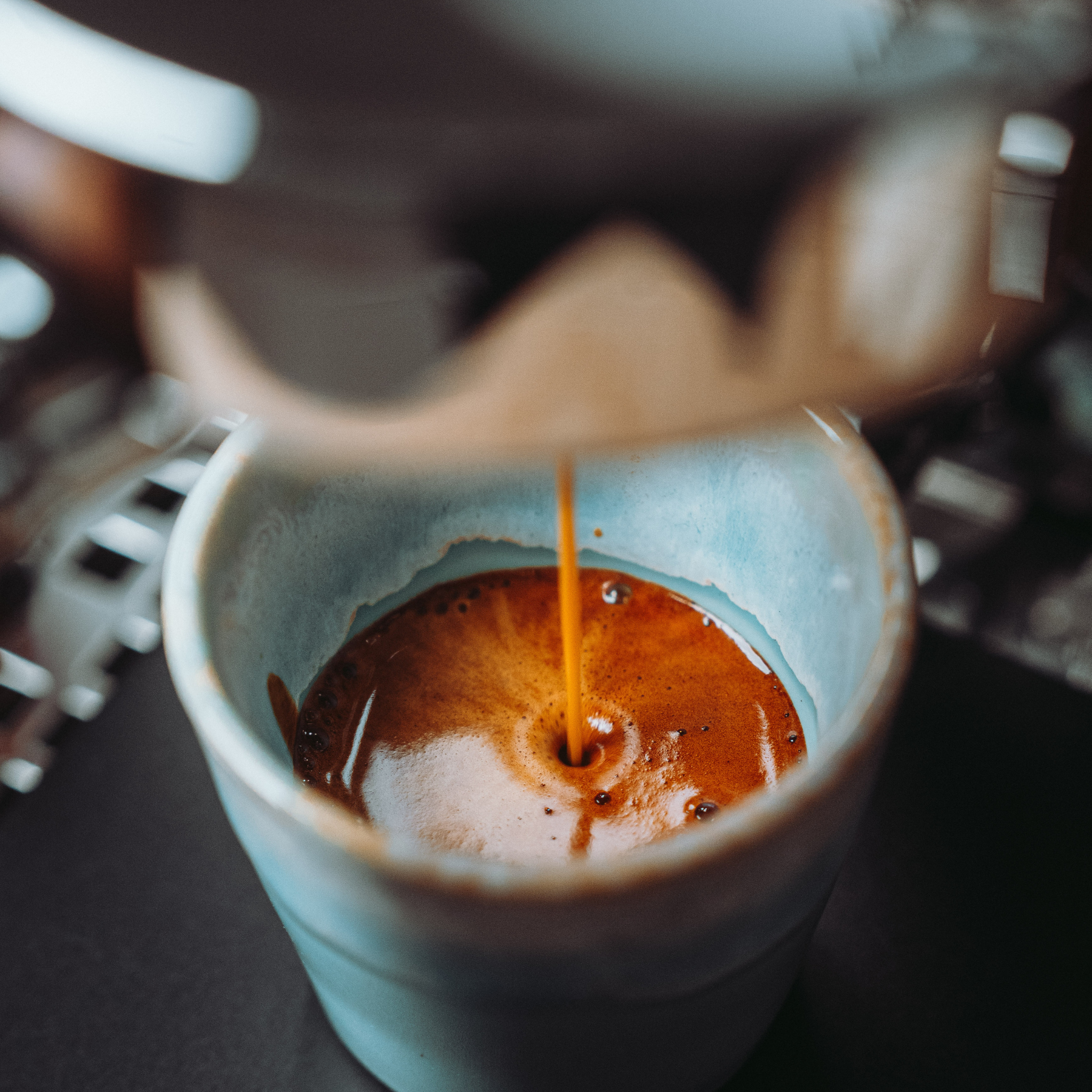 פולי קפה גואטמלה | קפה 51