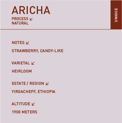 פולי קפה אתיופיה | קפה 51 - Ceramora כוסות אספרסו