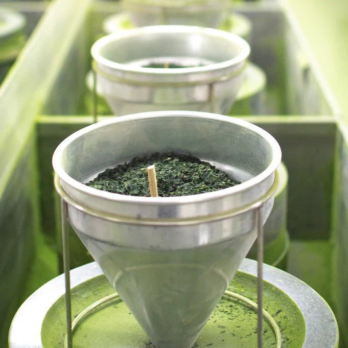 מארז מתנה | מאצ'ה - Ceramora כוסות קורטדו